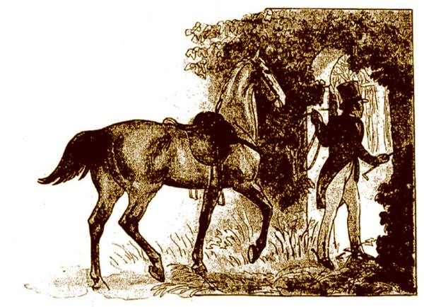 Illustration originale 