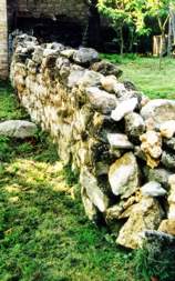 De 1780 � 1788, les habitants de Chatou et de Croissy obtiennent de Louis XVI, la construction d'un mur les prot�geant des d�vastations des lapins et li�vres qui prolif�raient dans le bois du V�sinet.